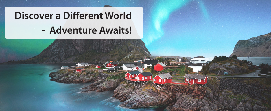 Cruises You Will Love